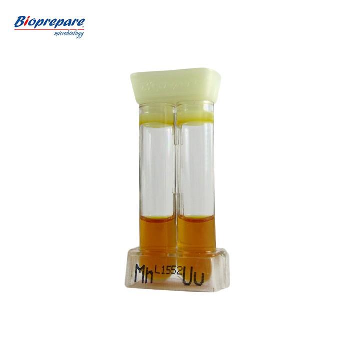 bioprom3 MycoTest Bioprepare 10 test