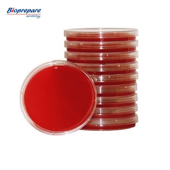 Τρυβλία Blood Agar-Chocolate Agar Bioprepare 10τμχ Τρυβλία Blood Agar-Chocolate Agar Bioprepare 10τμχ