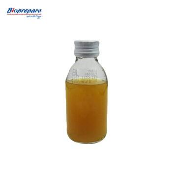 S.S. Agar Bioprepare 100ml